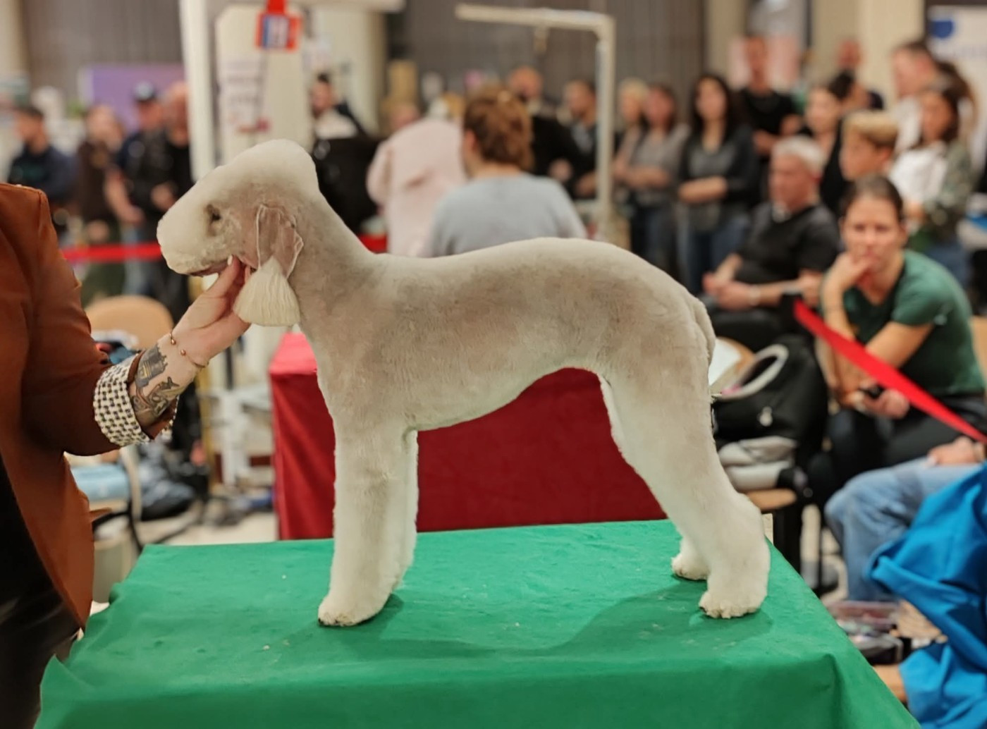 Someone like you Un Après-midi De Chien