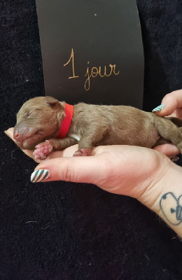 Victory against Voldemort